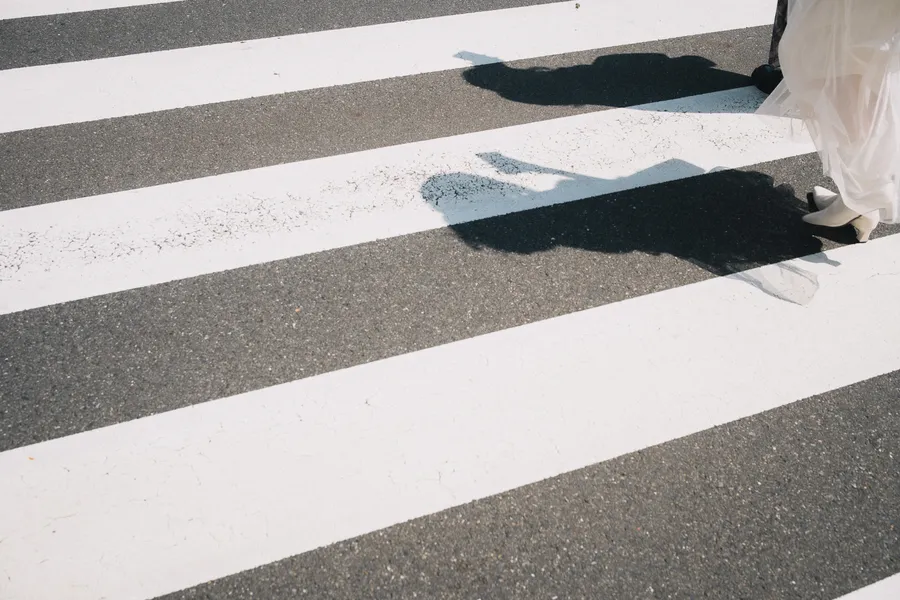 japan crosswalk NZF9496