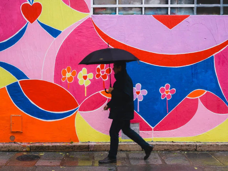 paris umbrella mural 7367