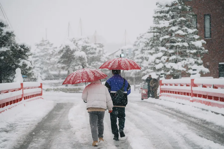 takayama red umbrellas NZF6849