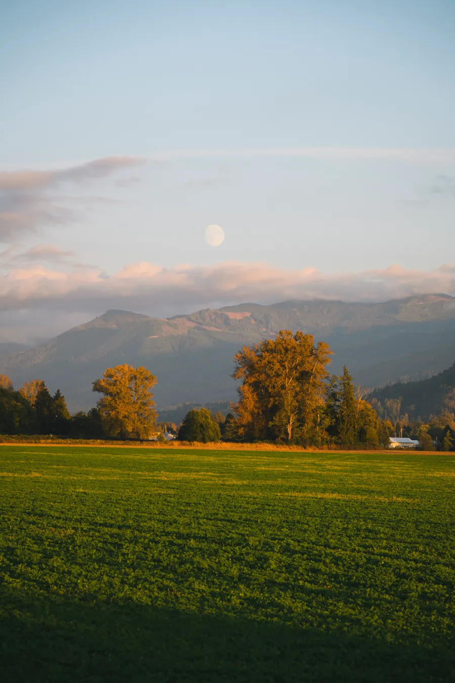 washington 4910