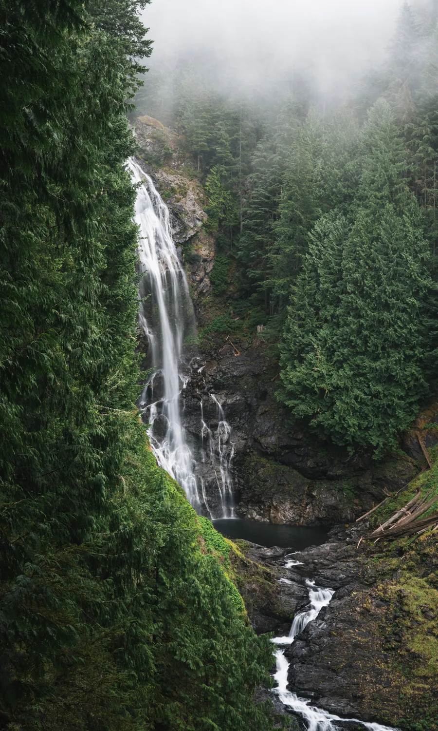 washington waterfall 4307
