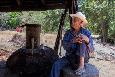 Adrián, raicilla master of Cabo Corrientes.