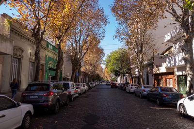 Postcard #2: Pizza time