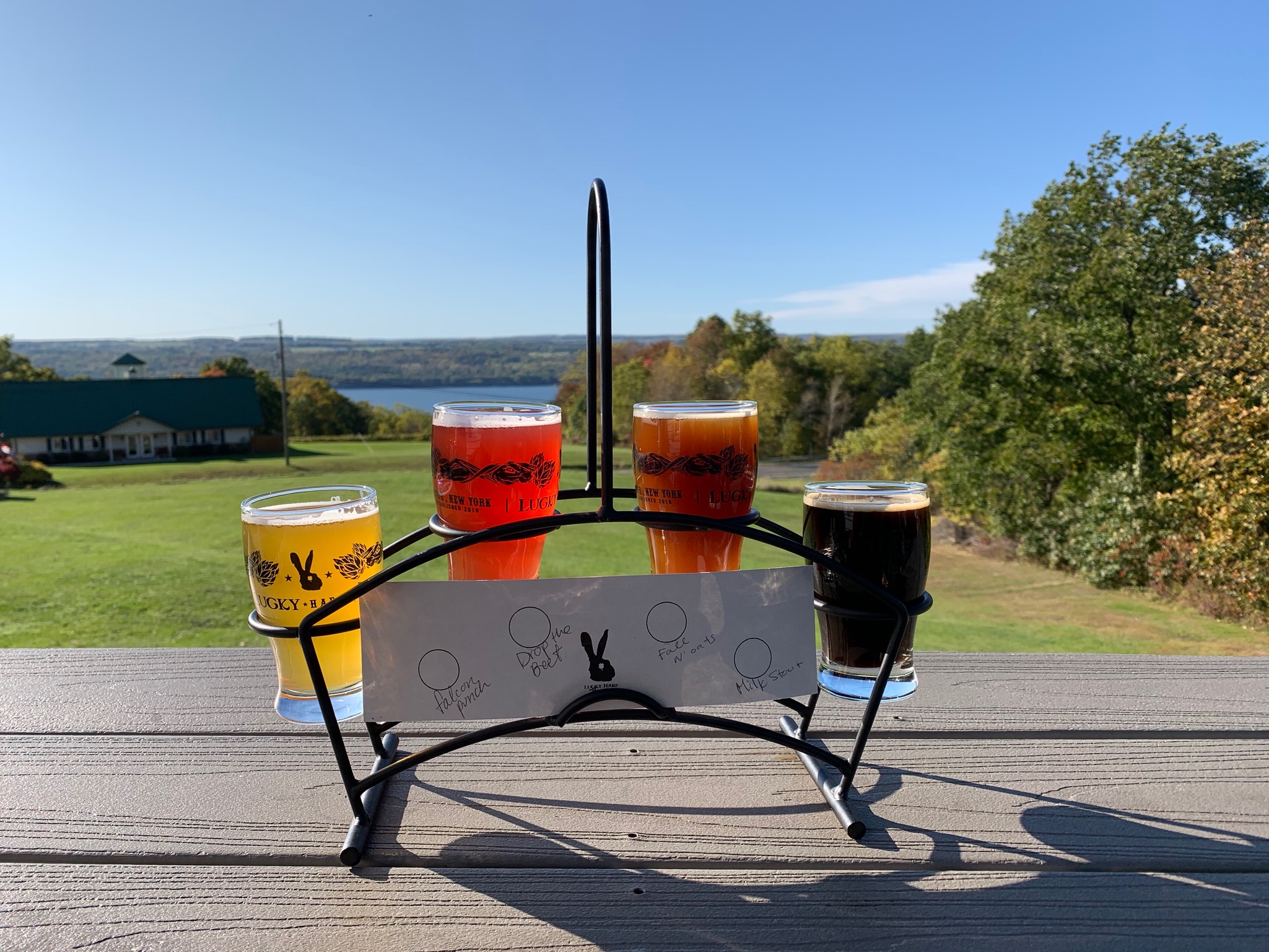 A quick flight on the way home from Lucky Hare Brewing looking over Seneca Lake.